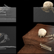 Virtual reconstructions of Mtoto’s position in the burial pit.